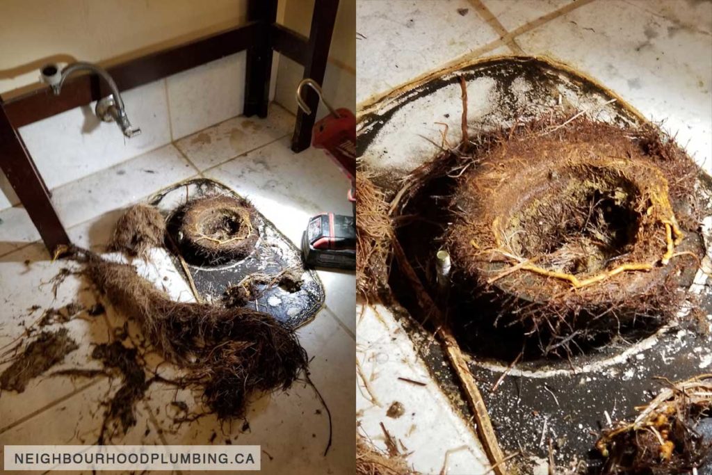 A bathroom floor with the toilet removed to show a solid mass of tree root in the toilet pipe.